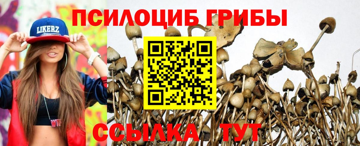 Псилоцибиновые грибы GOLDEN TEACHER Стерлитамак
