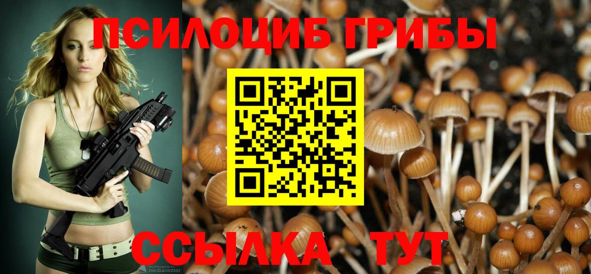 Галлюциногенные грибы Psilocybine cubensis Стерлитамак