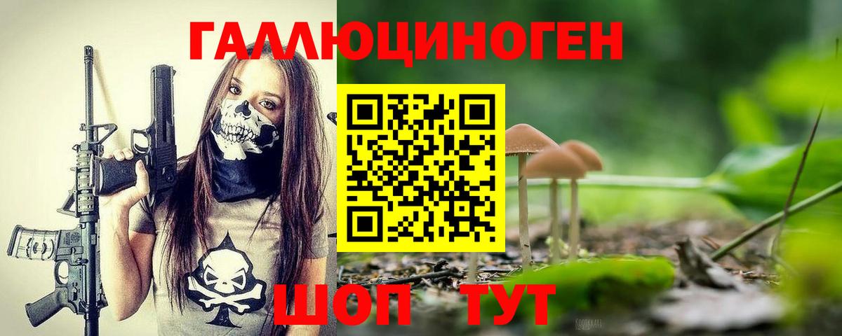Стерлитамак  магазин продажи   Вход с VPN  Псилоцибиновые грибы Psilocybe 